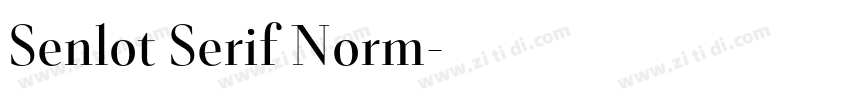 Senlot Serif Norm字体转换